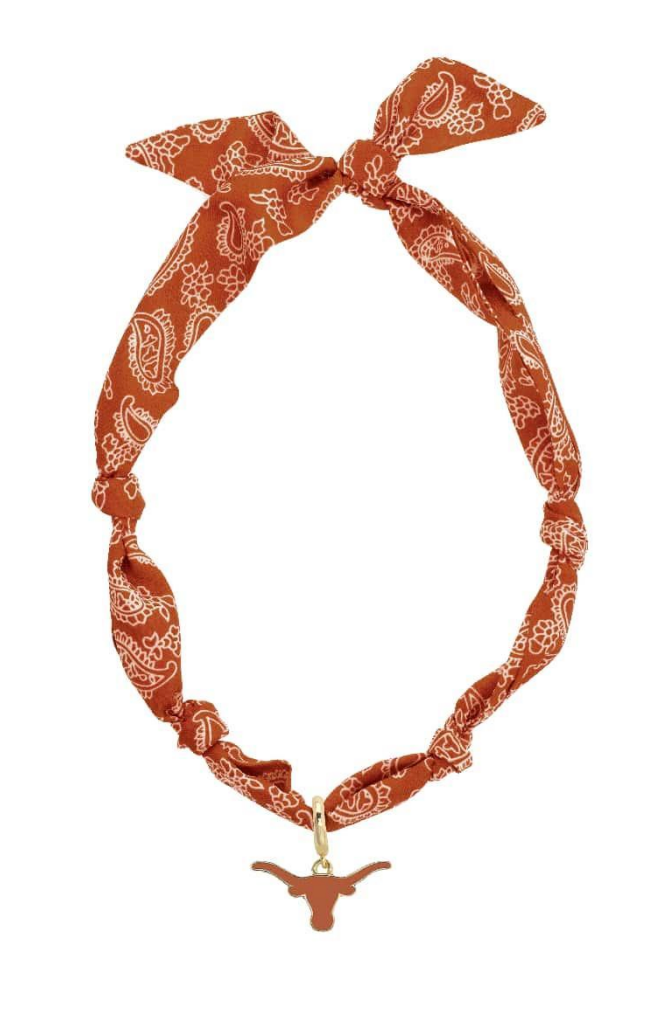 Texas Scarf Necklace