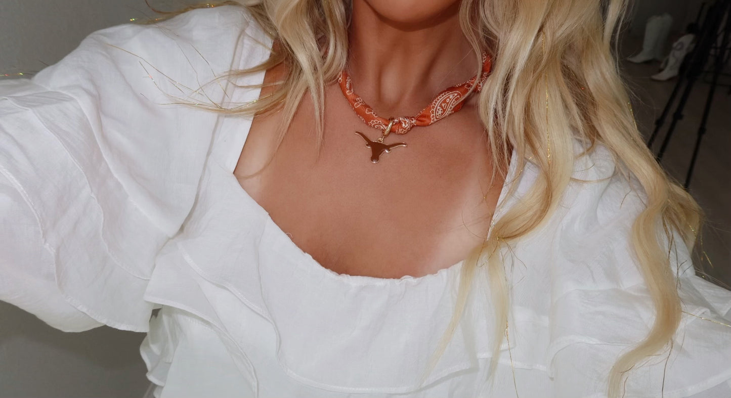 Texas Scarf Necklace