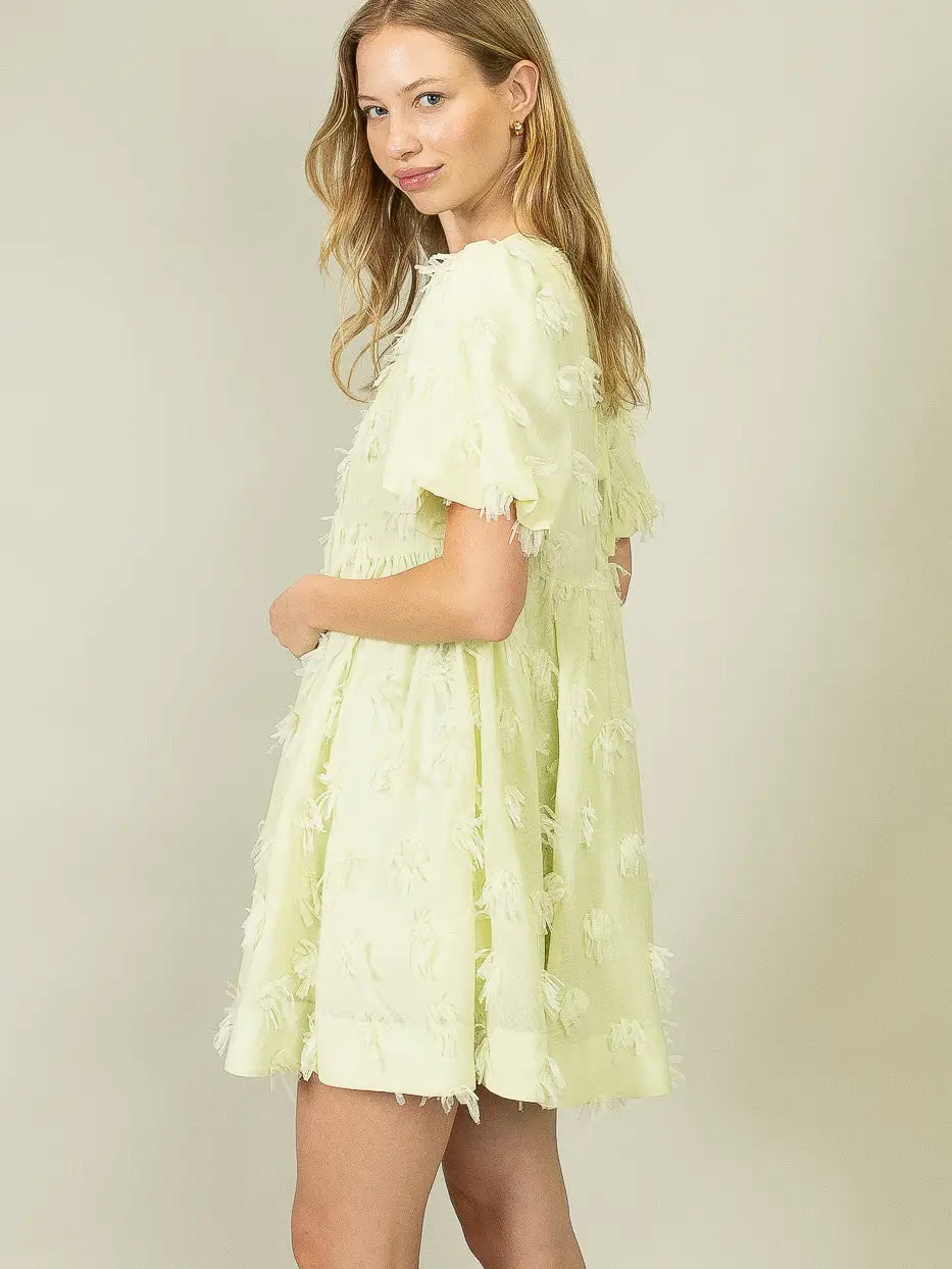 Eyelet Dress